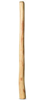Medium Size Natural Finish Didgeridoo (TW725)